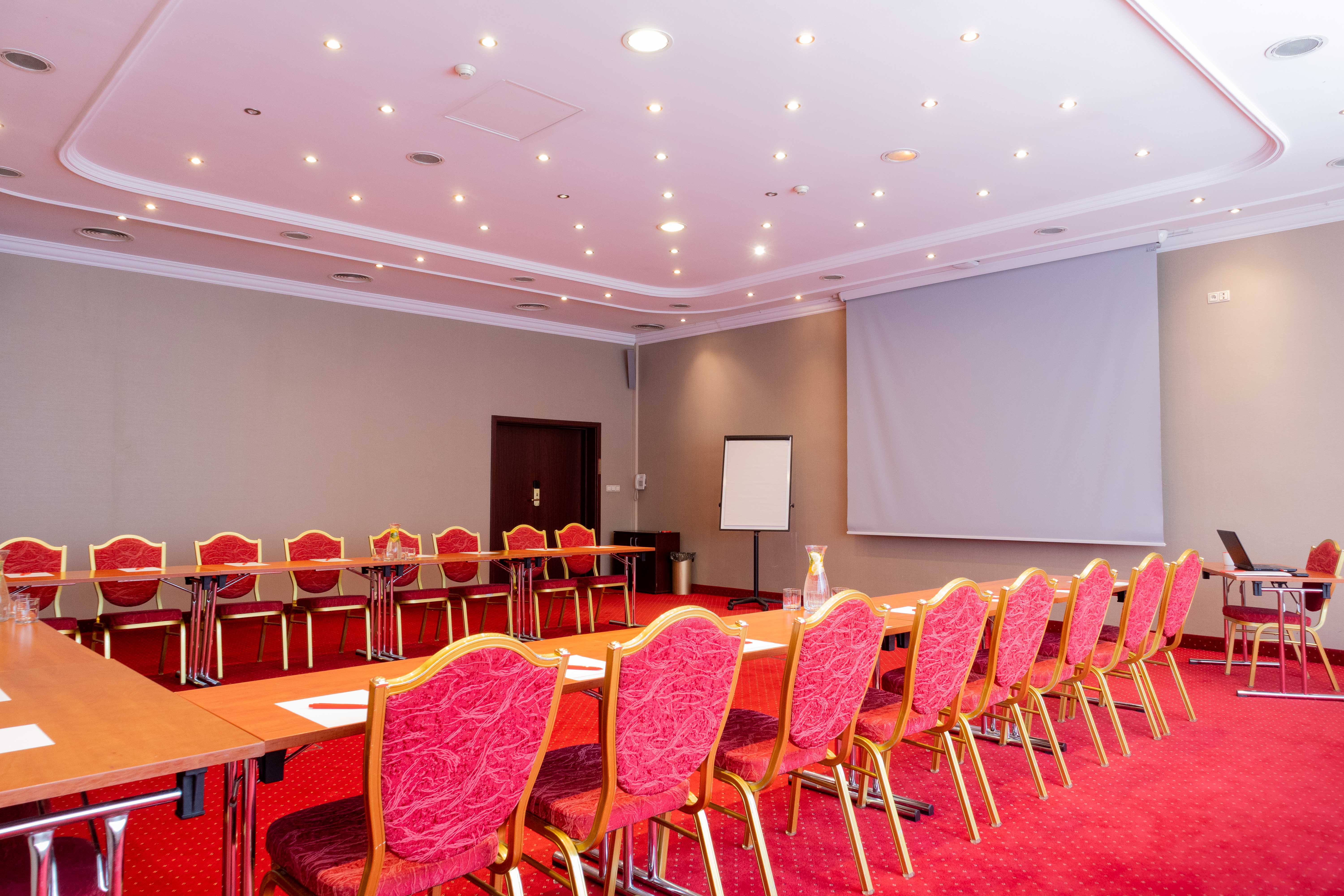 Real Estate Photography - Conference Room Red Carpet & Chairs